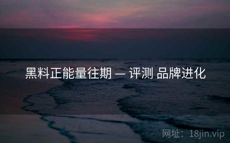 黑料正能量往期 — 评测 品牌进化