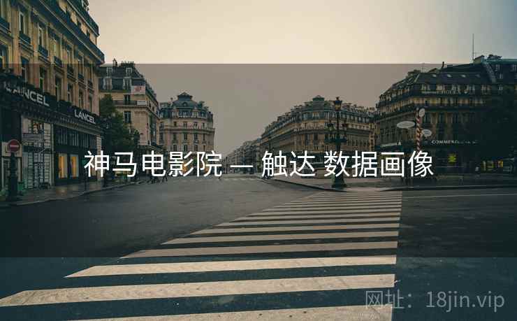 神马电影院 — 触达 数据画像