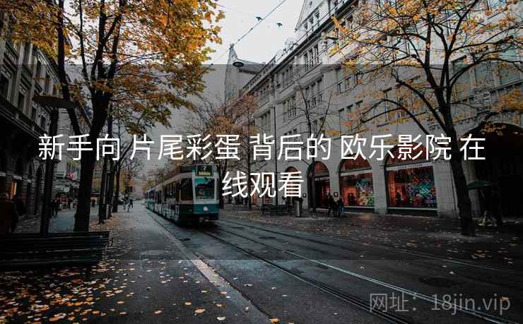 新手向 片尾彩蛋 背后的 欧乐影院 在线观看