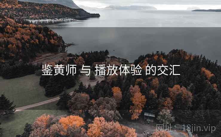 鉴黄师 与 播放体验 的交汇
