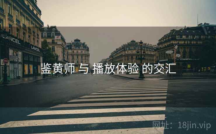鉴黄师 与 播放体验 的交汇