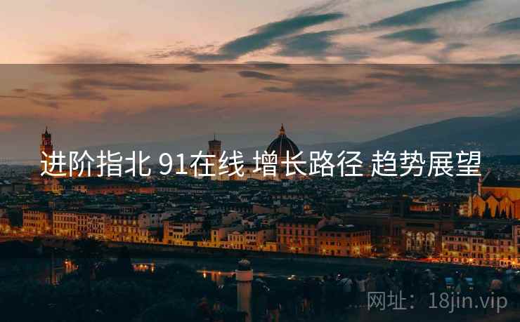 进阶指北 91在线 增长路径 趋势展望