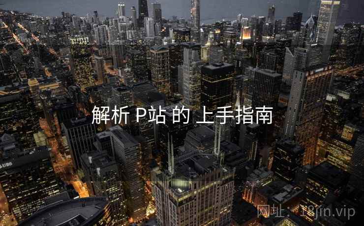 解析 P站 的 上手指南  第1张