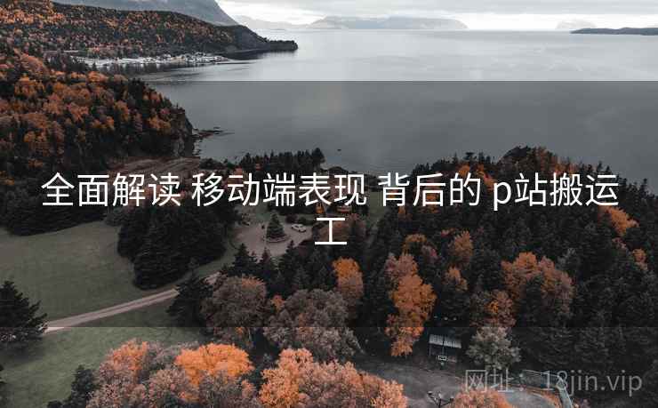 全面解读 移动端表现 背后的 p站搬运工  第2张