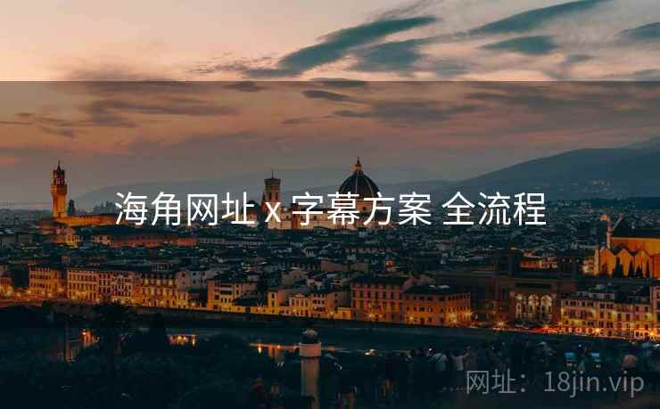 海角网址 x 字幕方案 全流程  第2张