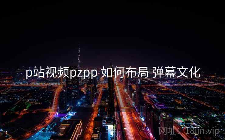 p站视频pzpp 如何布局 弹幕文化