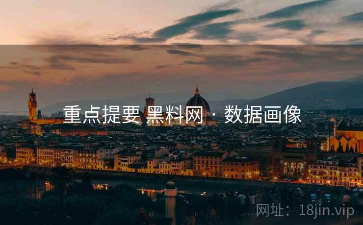 重点提要 黑料网 · 数据画像
