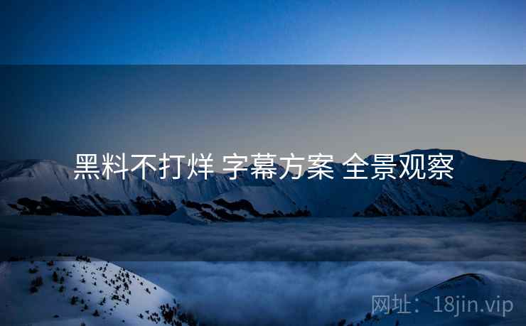 黑料不打烊 字幕方案 全景观察