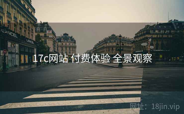 17c网站 付费体验 全景观察