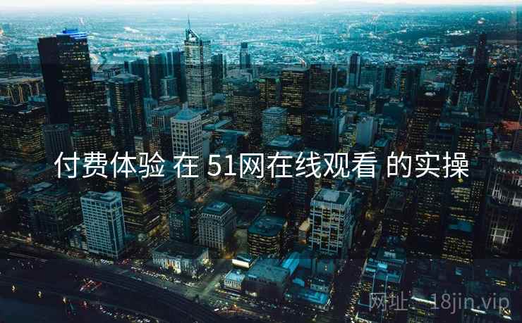 付费体验 在 51网在线观看 的实操