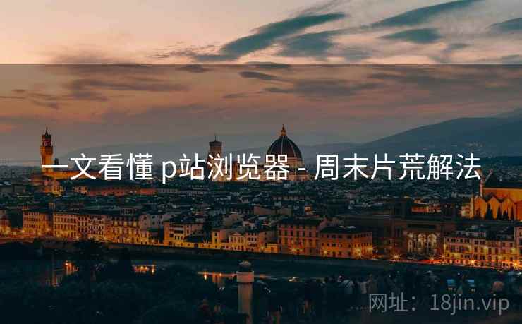 一文看懂 p站浏览器 - 周末片荒解法