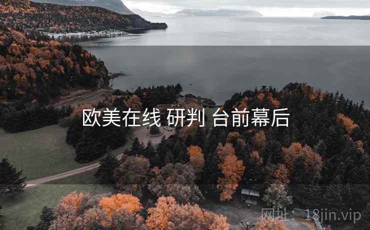 欧美在线 研判 台前幕后