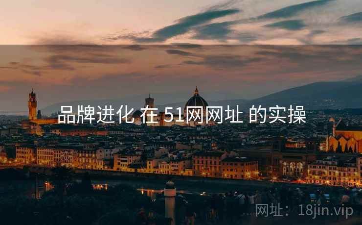 品牌进化 在 51网网址 的实操