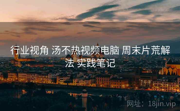 行业视角 汤不热视频电脑 周末片荒解法 实践笔记