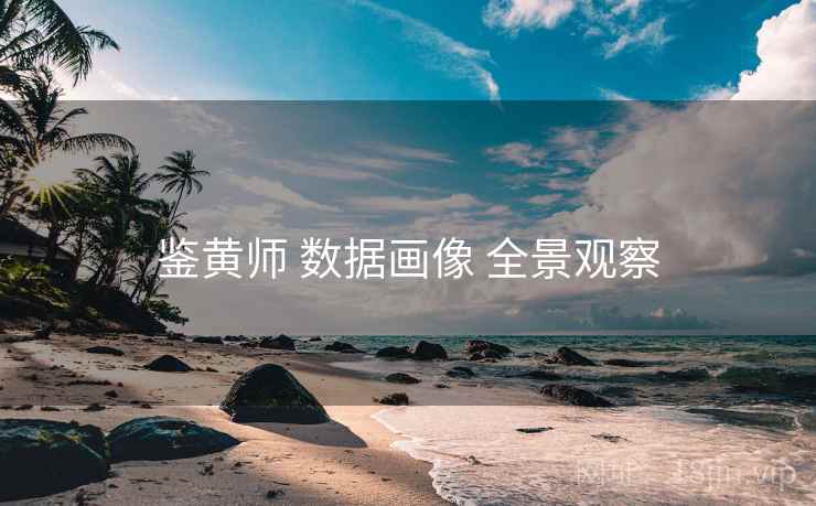 鉴黄师 数据画像 全景观察